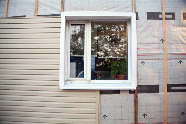 Best Steel Siding Installation  in Crisfield, MD